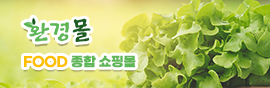 환경몰_241121