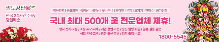 팔도강산꽃
